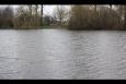 Hooilandenvijver 3