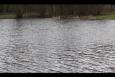 Hooilandenvijver 4