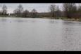 Schaatsvijver 2