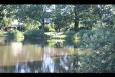 2022-06-22_07.jpg
